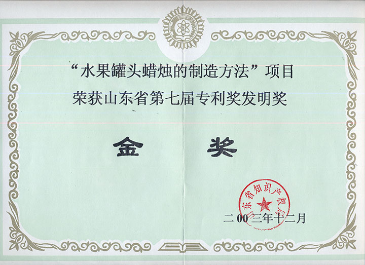 山東省第七屆專利獎發明獎金獎
